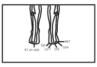 foot