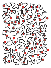matrix